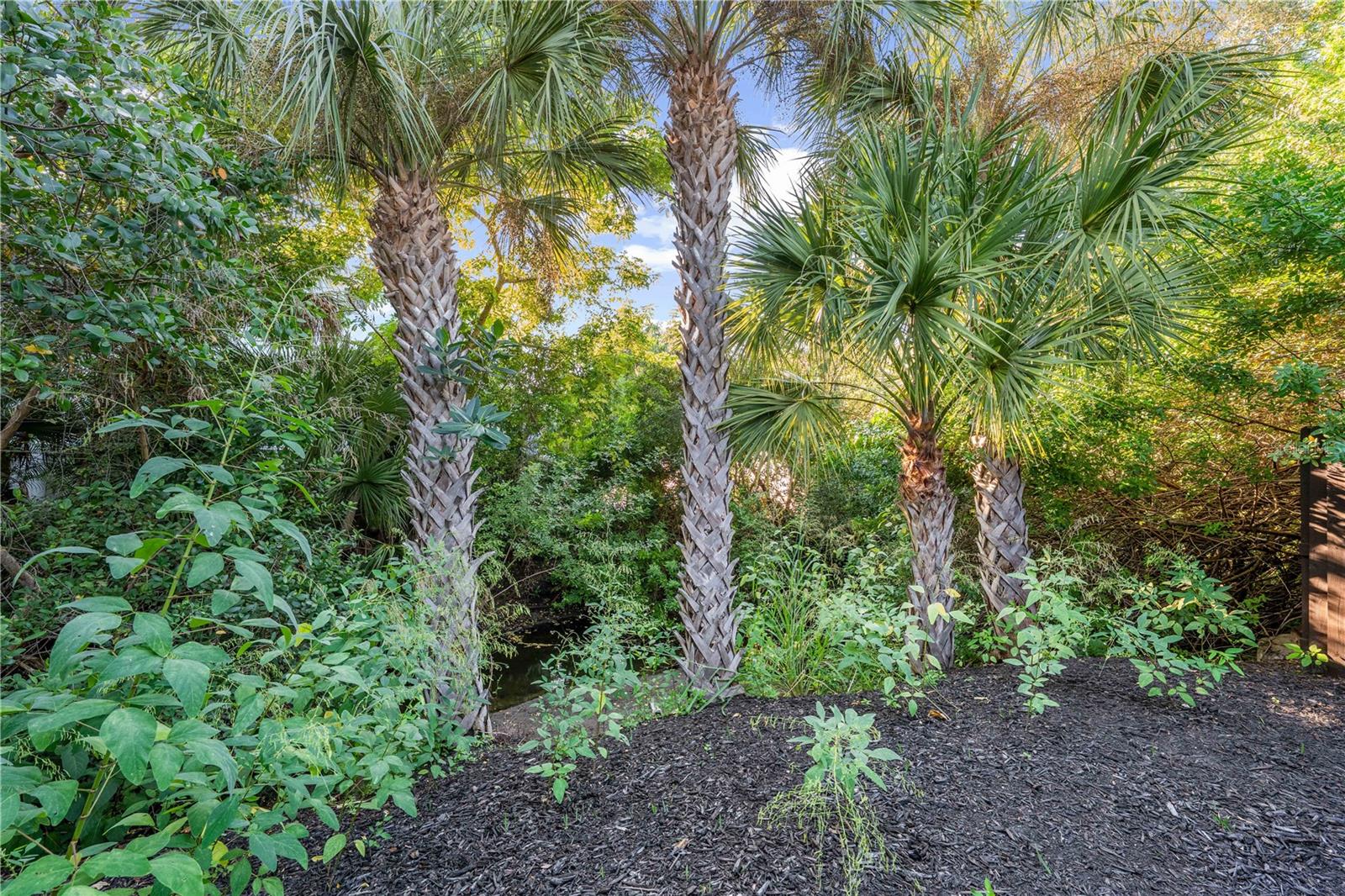 Single Family Residence at 634 OHIO PL, SARASOTA, photo 50 of 66