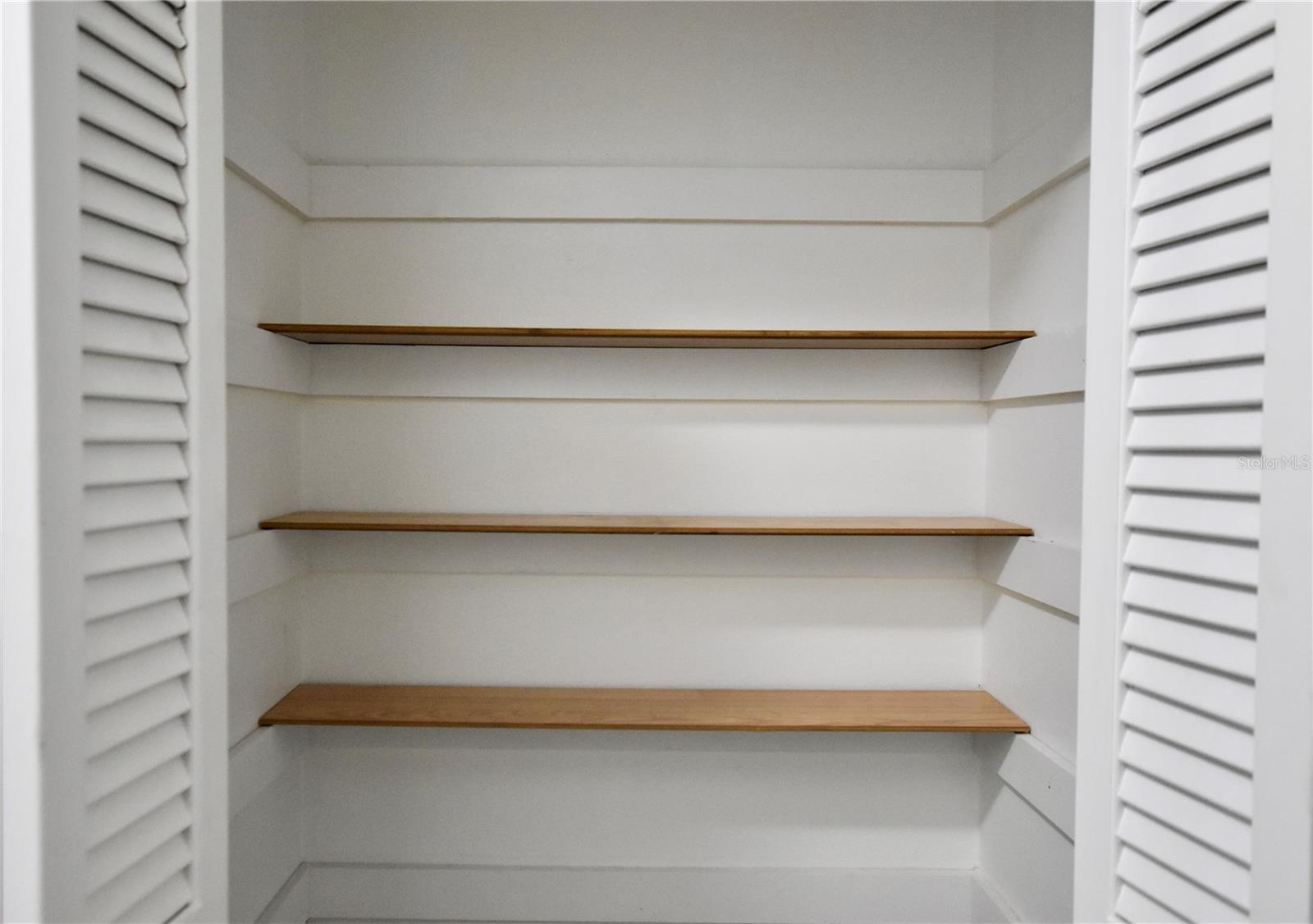 Hallway Closet - 361 LAKE HARRIS DR, LAKELAND
