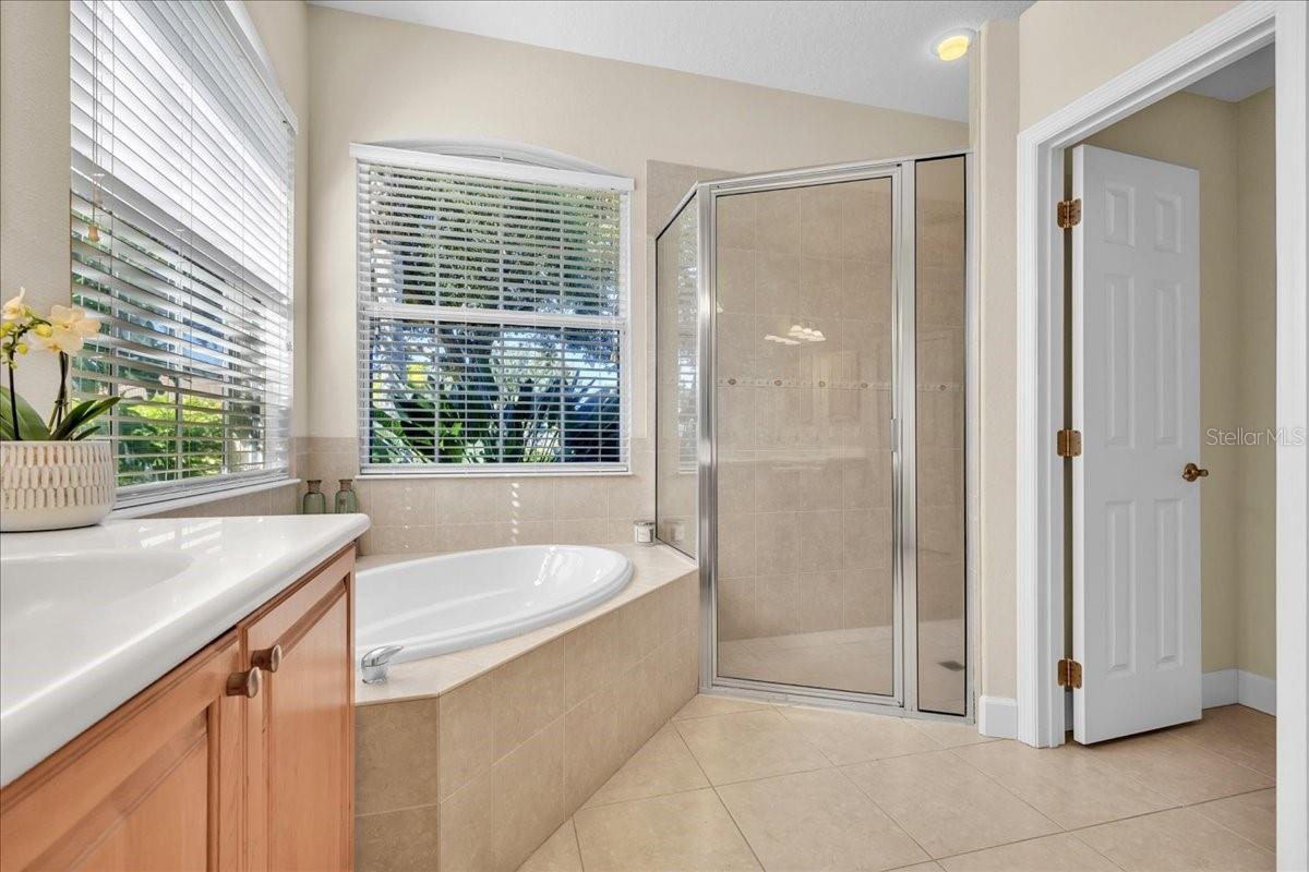 Single Family Residence at 14724 2ND AVENUE CIR NE, BRADENTON, photo 45 of 94