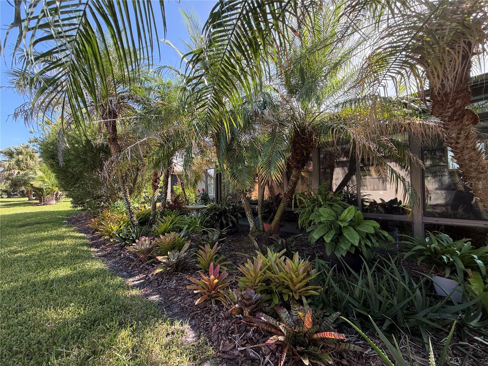 Privacy Landscaping in Backyard - 265 INDIAN WELLS AVE, POINCIANA