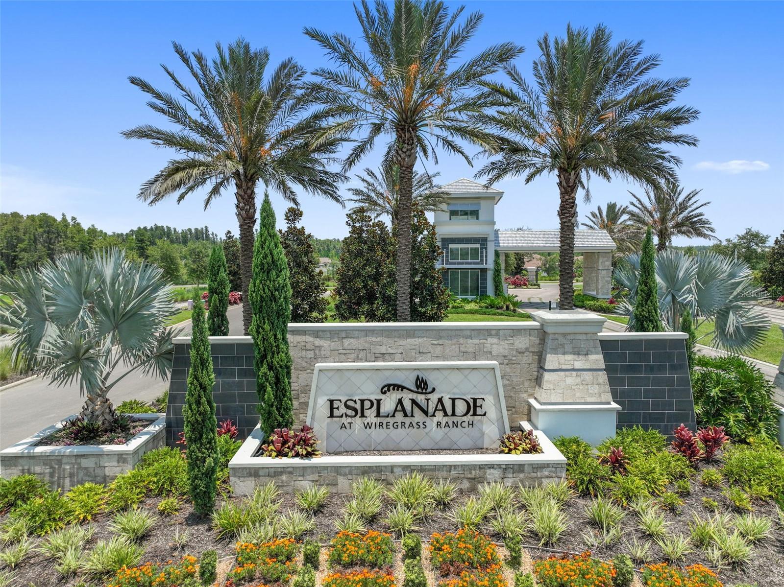 Welcome to Esplanade at Wiregrass - 29749 CASSINO CT, WESLEY CHAPEL