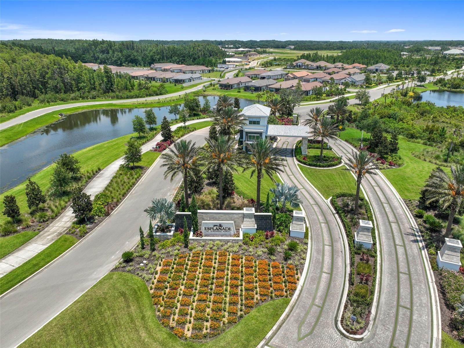 Gated entry - 29749 CASSINO CT, WESLEY CHAPEL