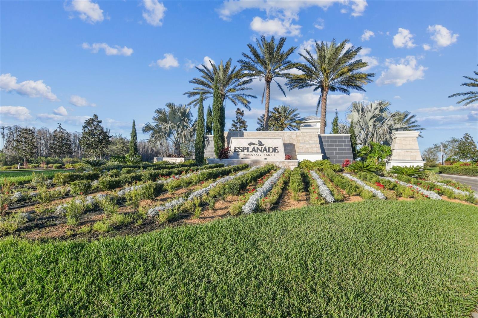 First Class Community Amenities. Take a look. - 29749 CASSINO CT, WESLEY CHAPEL