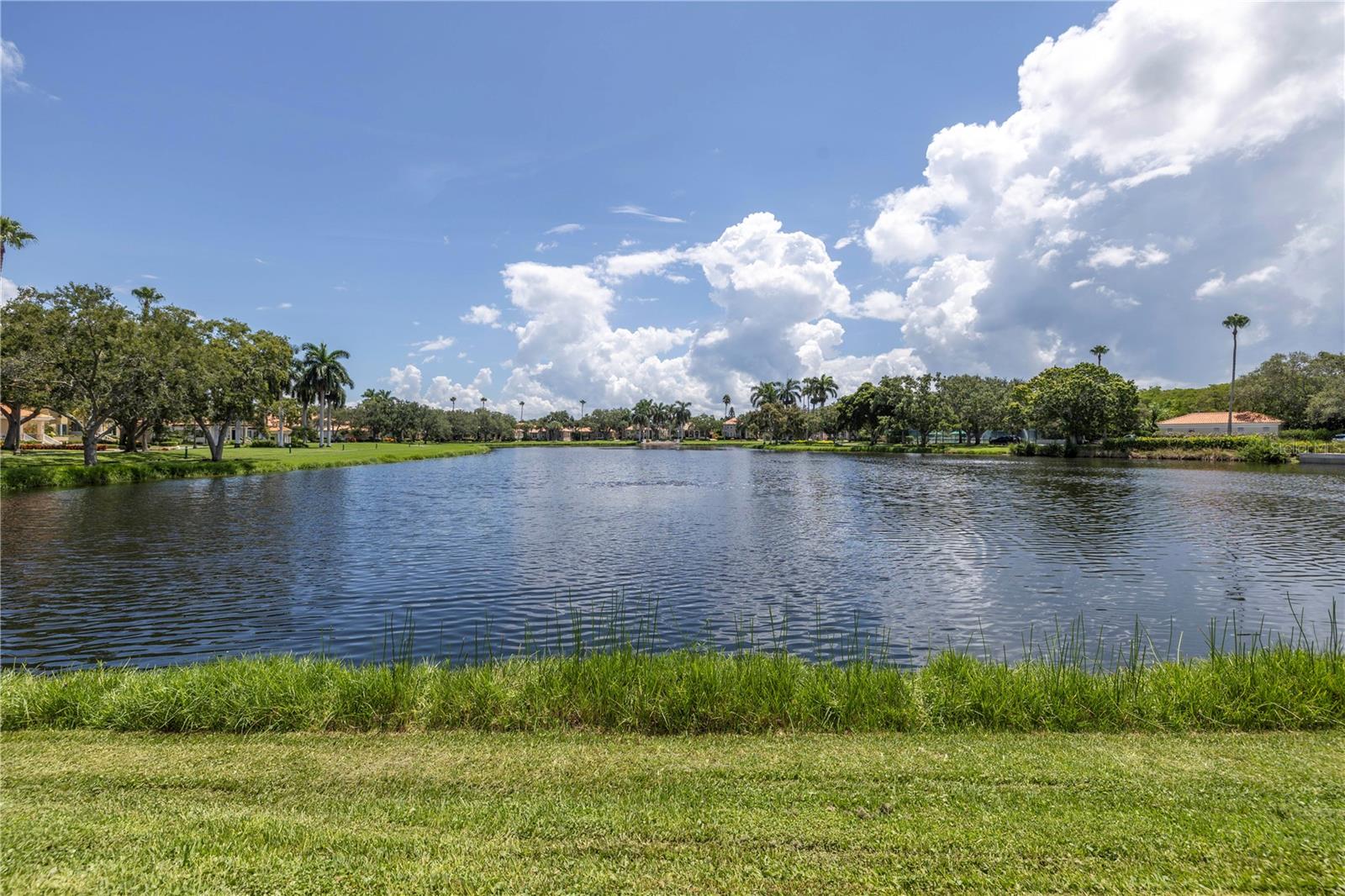 Condominium at 4780 DOLPHIN CAY LN S #102, ST PETERSBURG, photo 49 of 59
