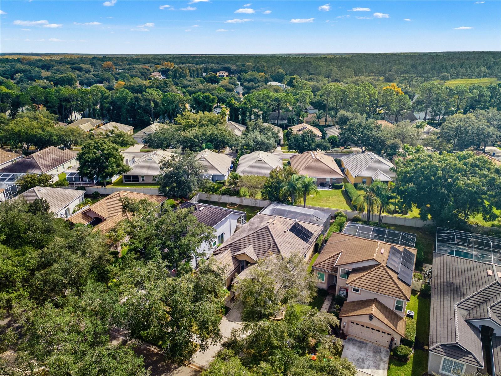 Single Family Residence at 17725 NATHANS DR, TAMPA, photo 47 of 58