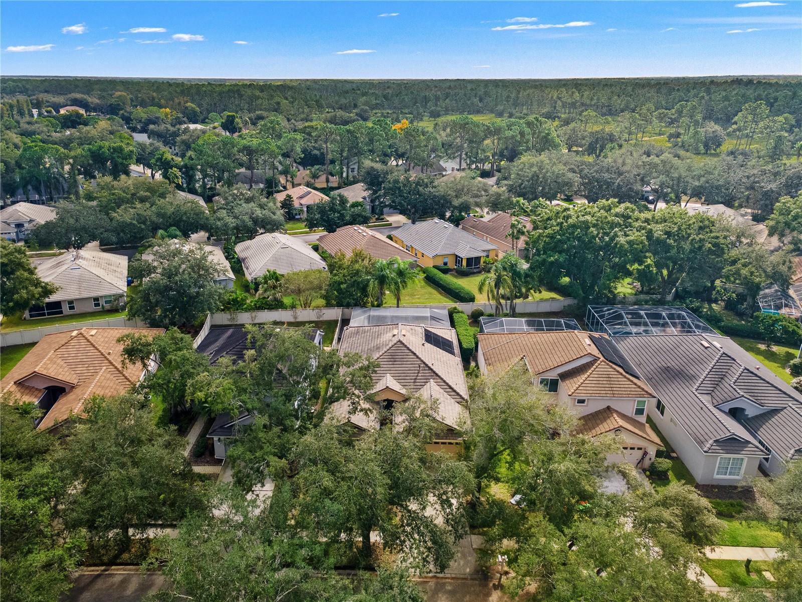 Single Family Residence at 17725 NATHANS DR, TAMPA, photo 48 of 58