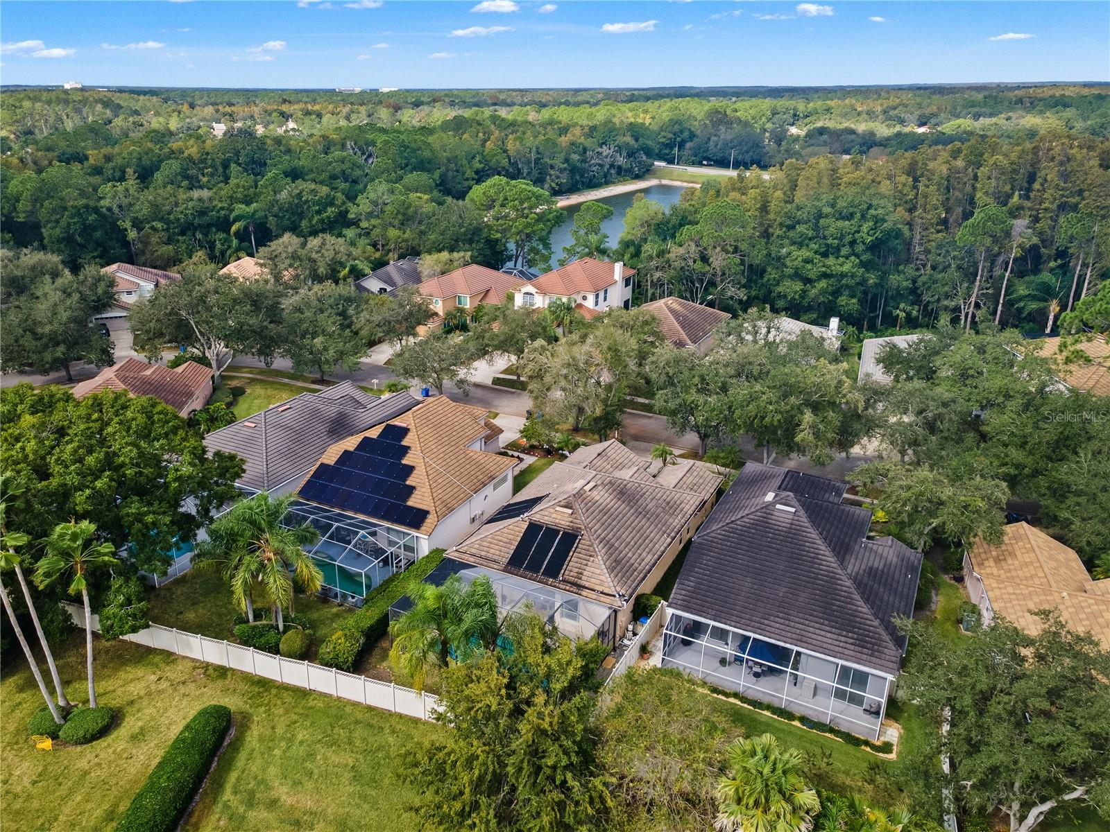 Single Family Residence at 17725 NATHANS DR, TAMPA, photo 49 of 58