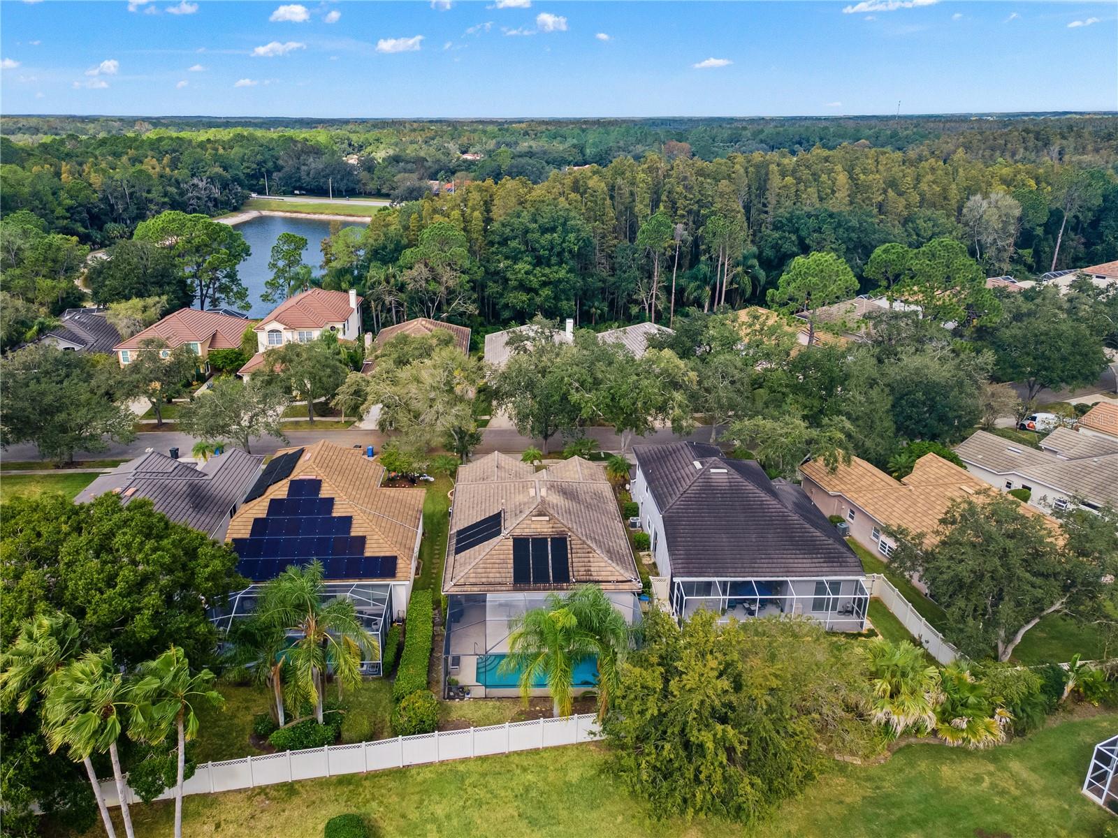 Single Family Residence at 17725 NATHANS DR, TAMPA, photo 50 of 58