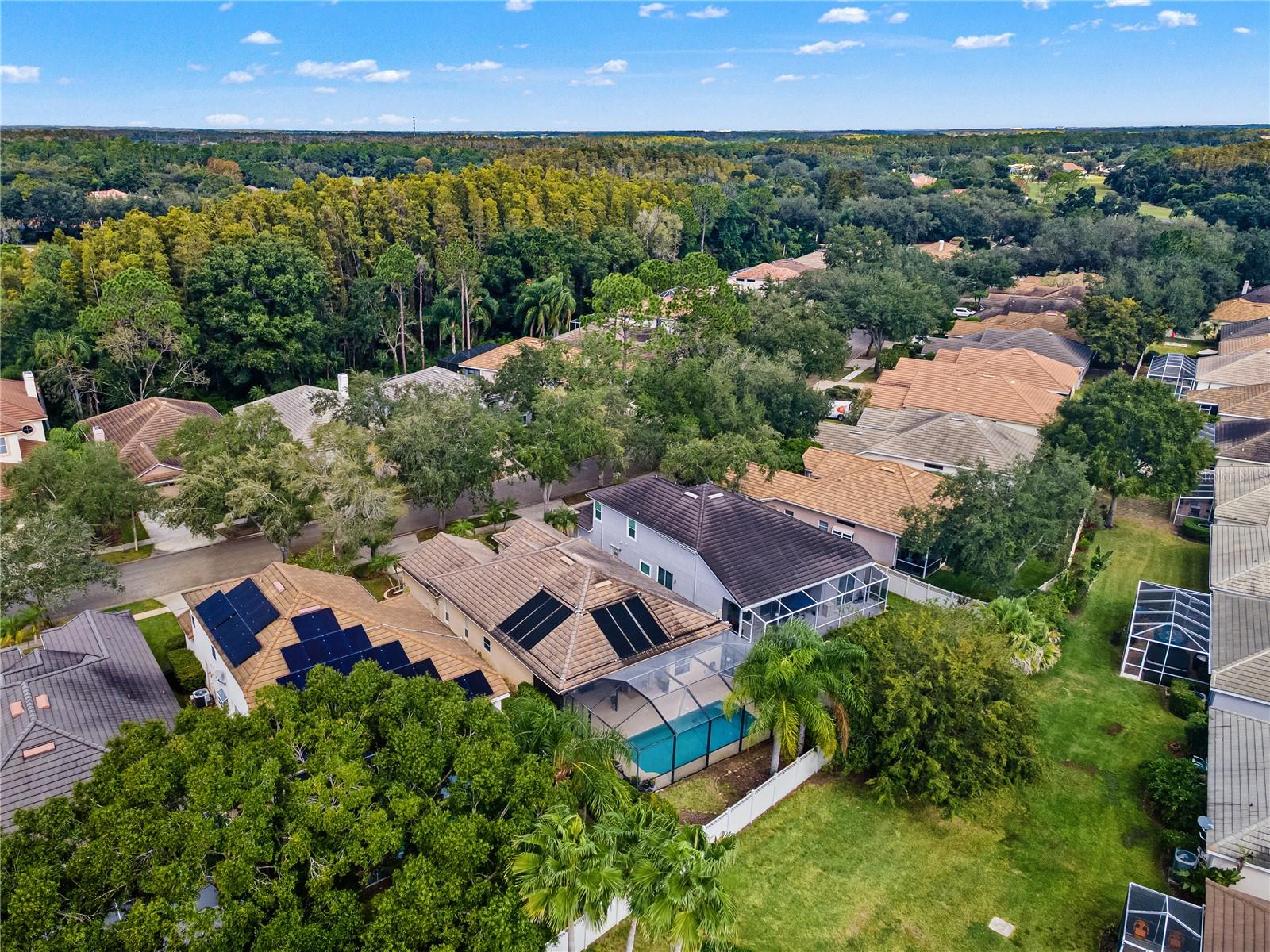 Single Family Residence at 17725 NATHANS DR, TAMPA, photo 51 of 58