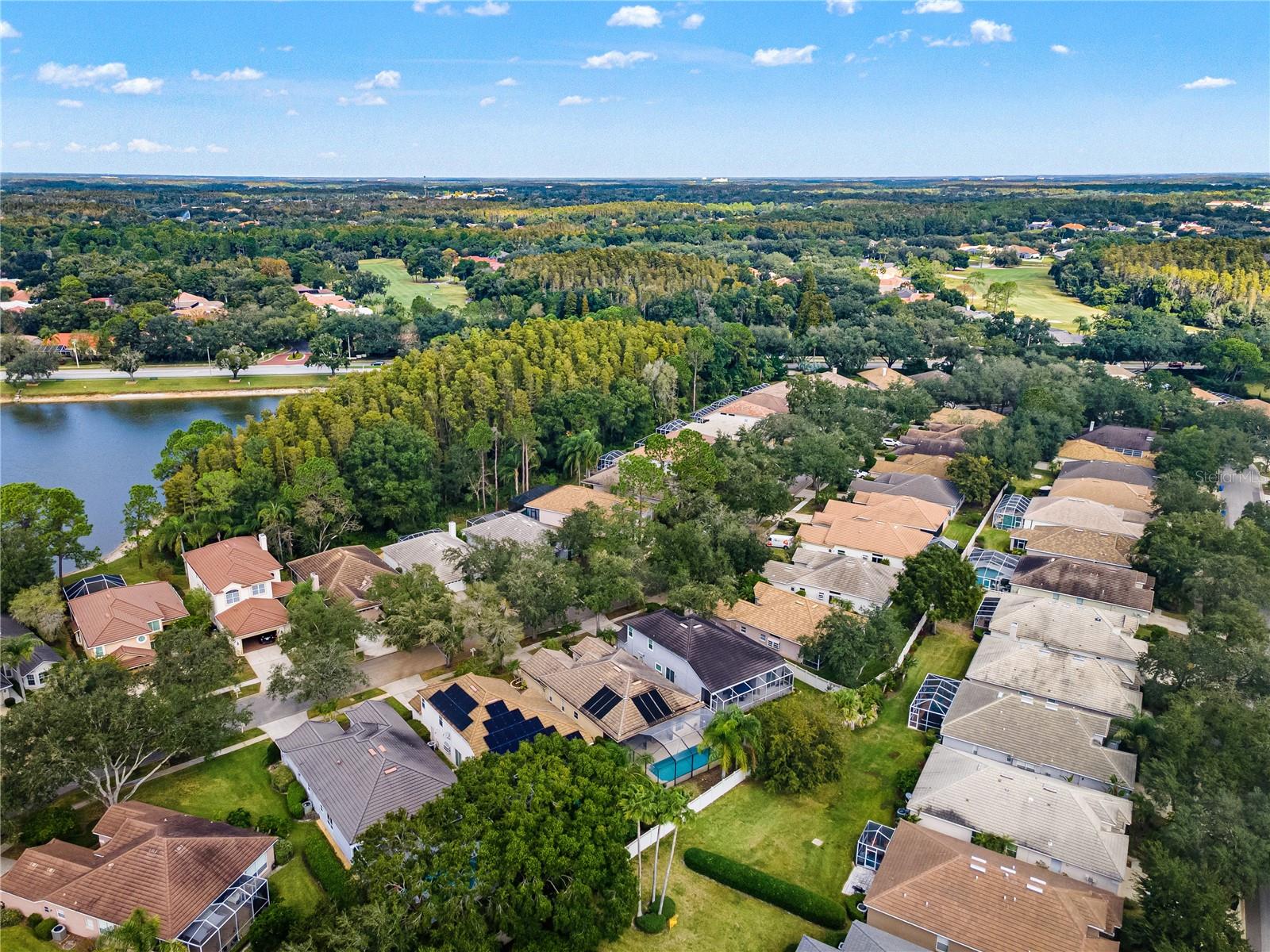 Single Family Residence at 17725 NATHANS DR, TAMPA, photo 52 of 58