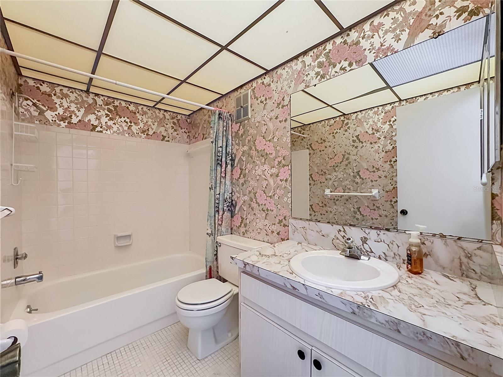 Guest Bathroom - 3206 42ND ST W #NA, BRADENTON