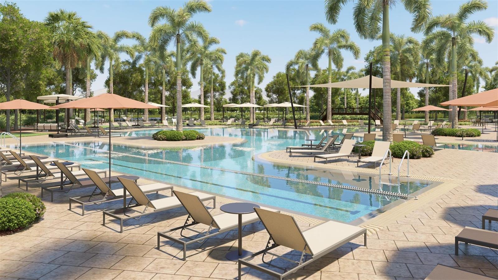 Resort Style Swimming Pool - 11324 CLAY AVE, PARRISH