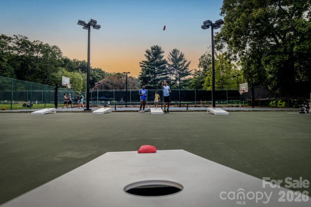 Single Family Residence at 281 Redwing Road, Lake Lure, photo 47 of 47