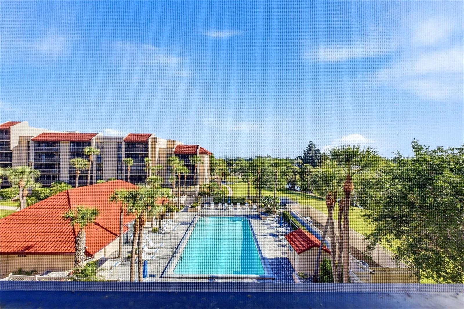 View of the Pool from Lanai - 21405 OLEAN BLVD #434, PORT CHARLOTTE