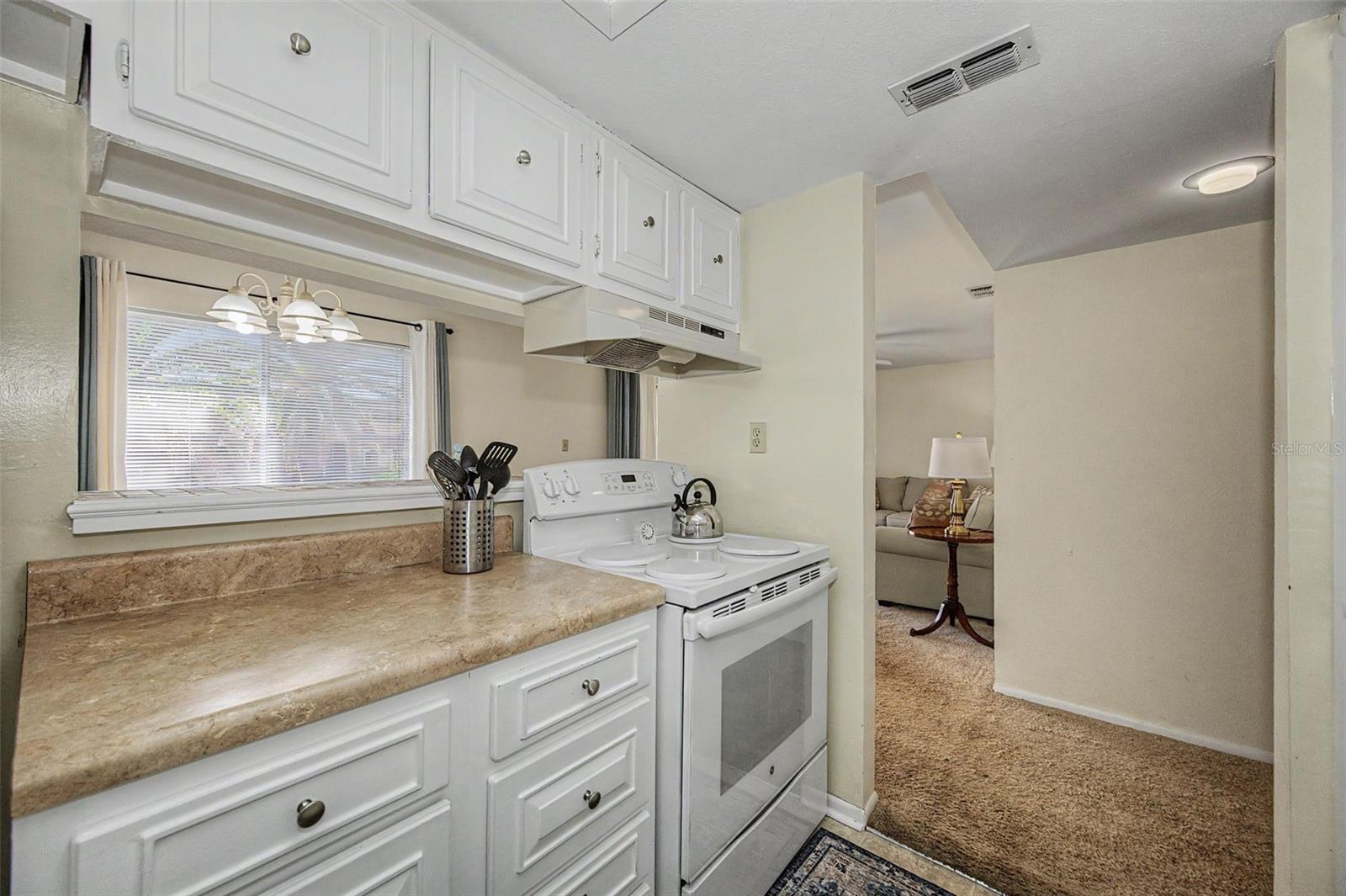 Condominium at 1575 GREENLEA DR #4, CLEARWATER, photo 39 of 49