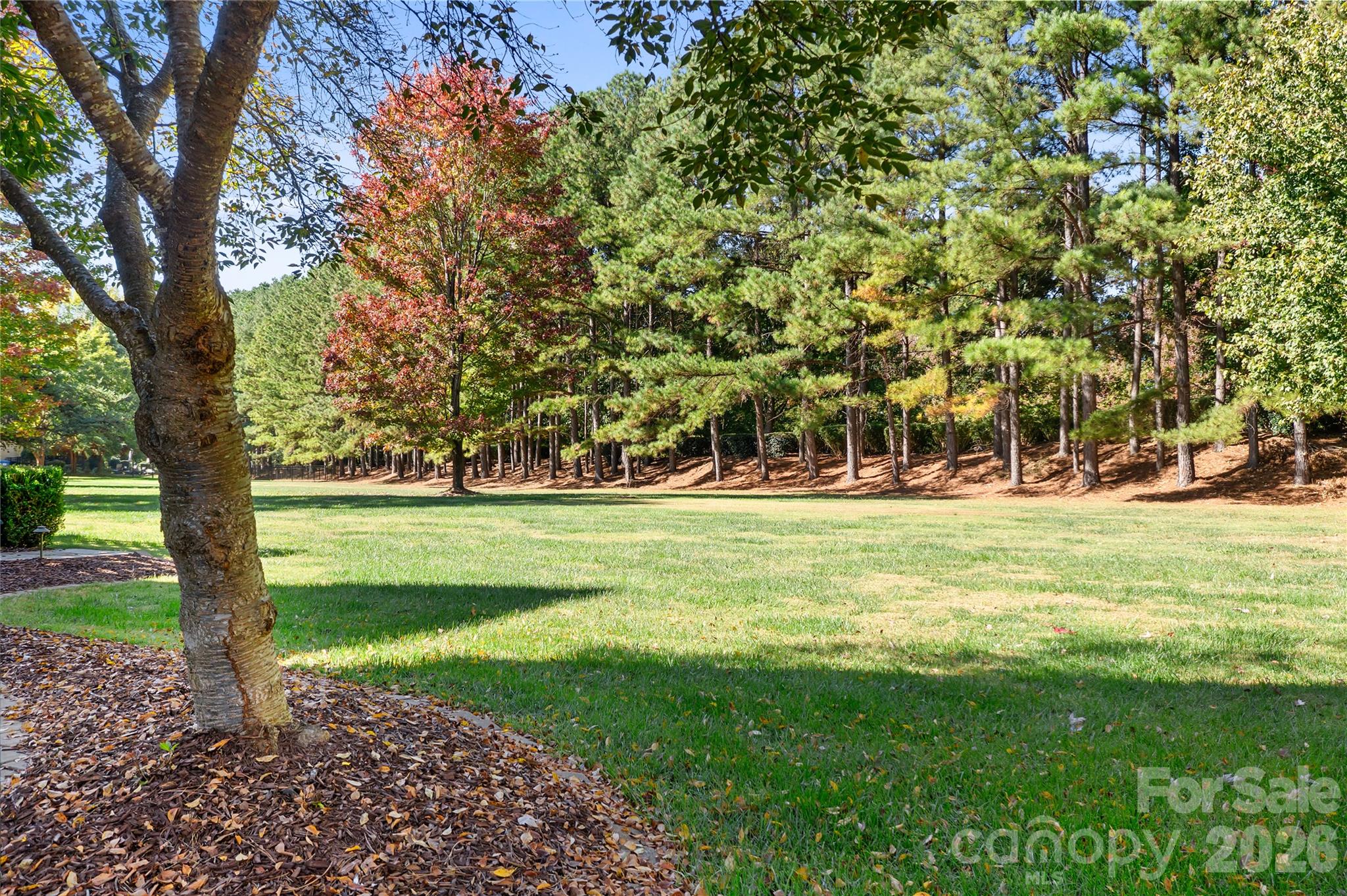 Spacious and open back yard. Pool? - 161 Cape Cod Way, Mooresville