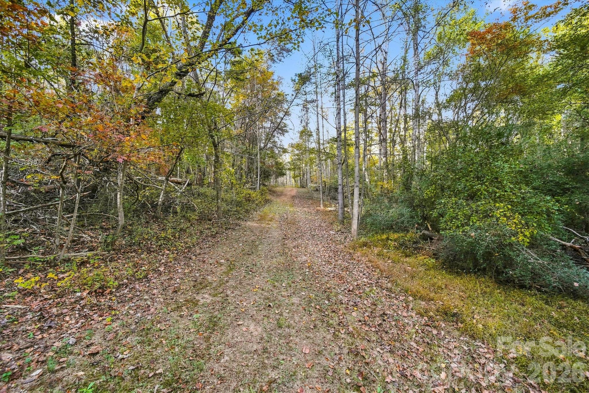 Acreage at 2756 S NC 16 Highway, Newton, photo 13 of 34