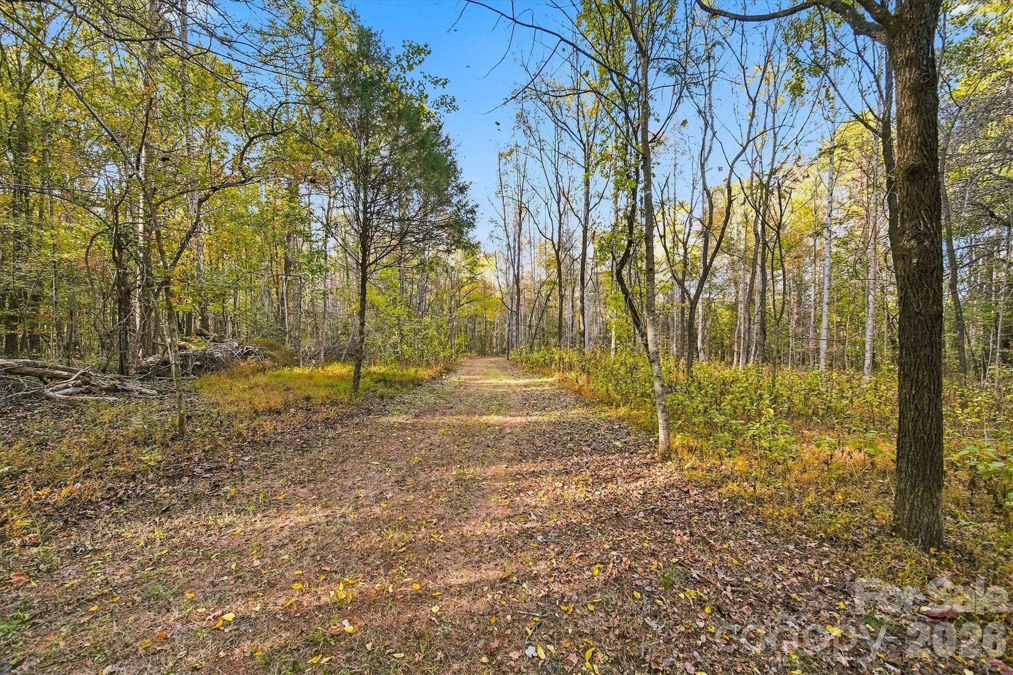 Acreage at 2756 S NC 16 Highway, Newton, photo 15 of 34