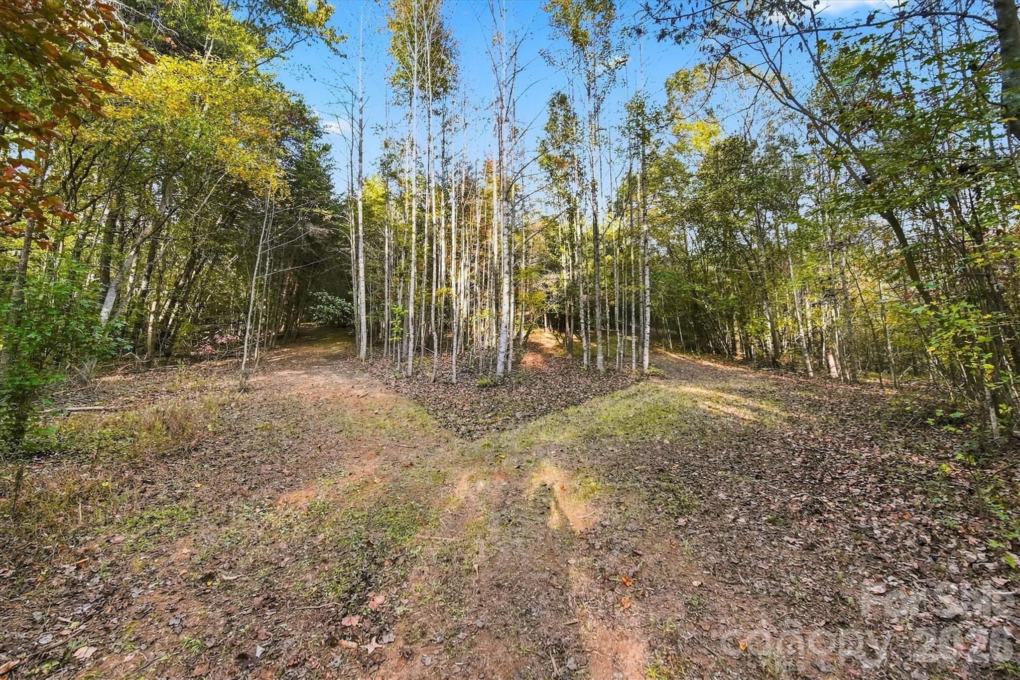 Acreage at 2756 S NC 16 Highway, Newton, photo 16 of 34