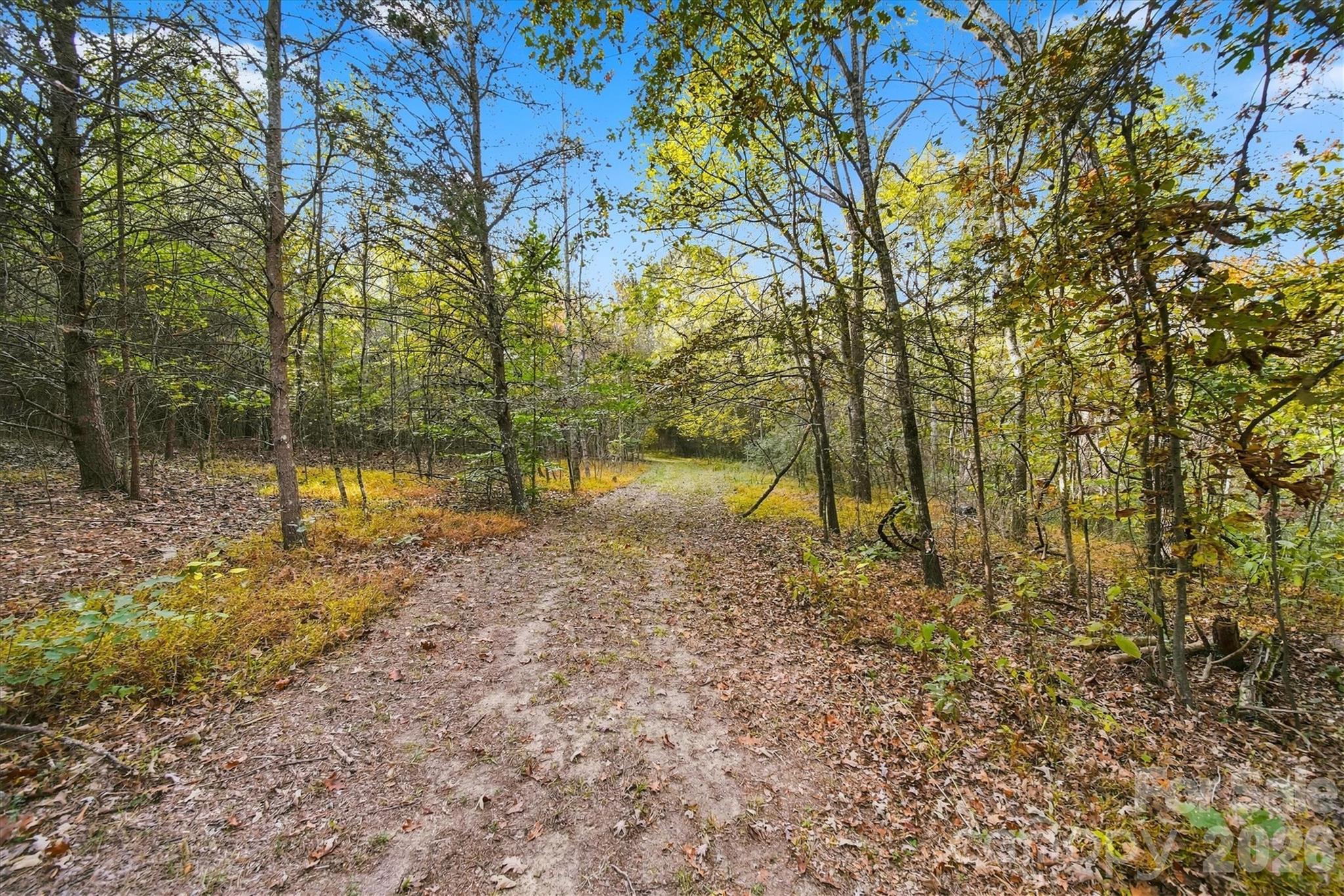 Acreage at 2756 S NC 16 Highway, Newton, photo 18 of 34