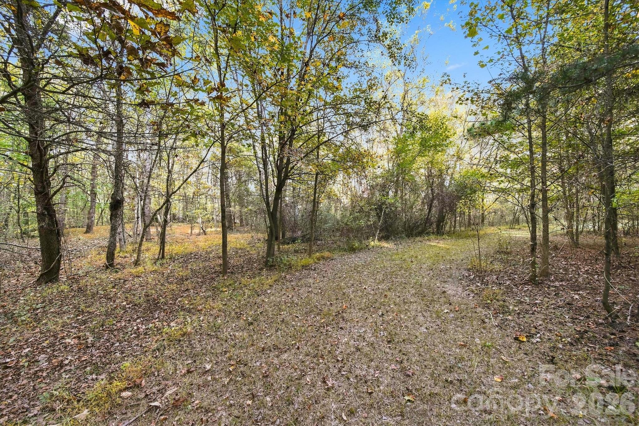 Acreage at 2756 S NC 16 Highway, Newton, photo 19 of 34