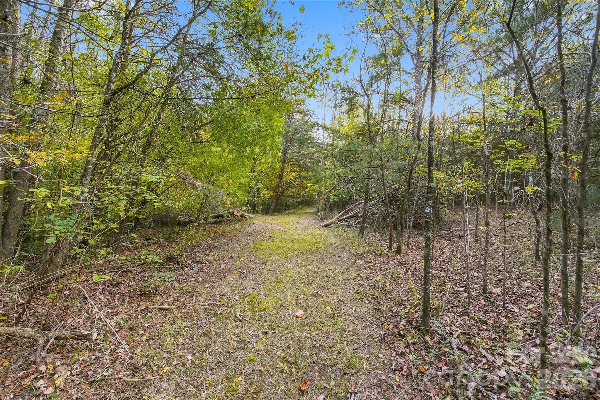 Acreage at 2756 S NC 16 Highway, Newton, photo 21 of 34
