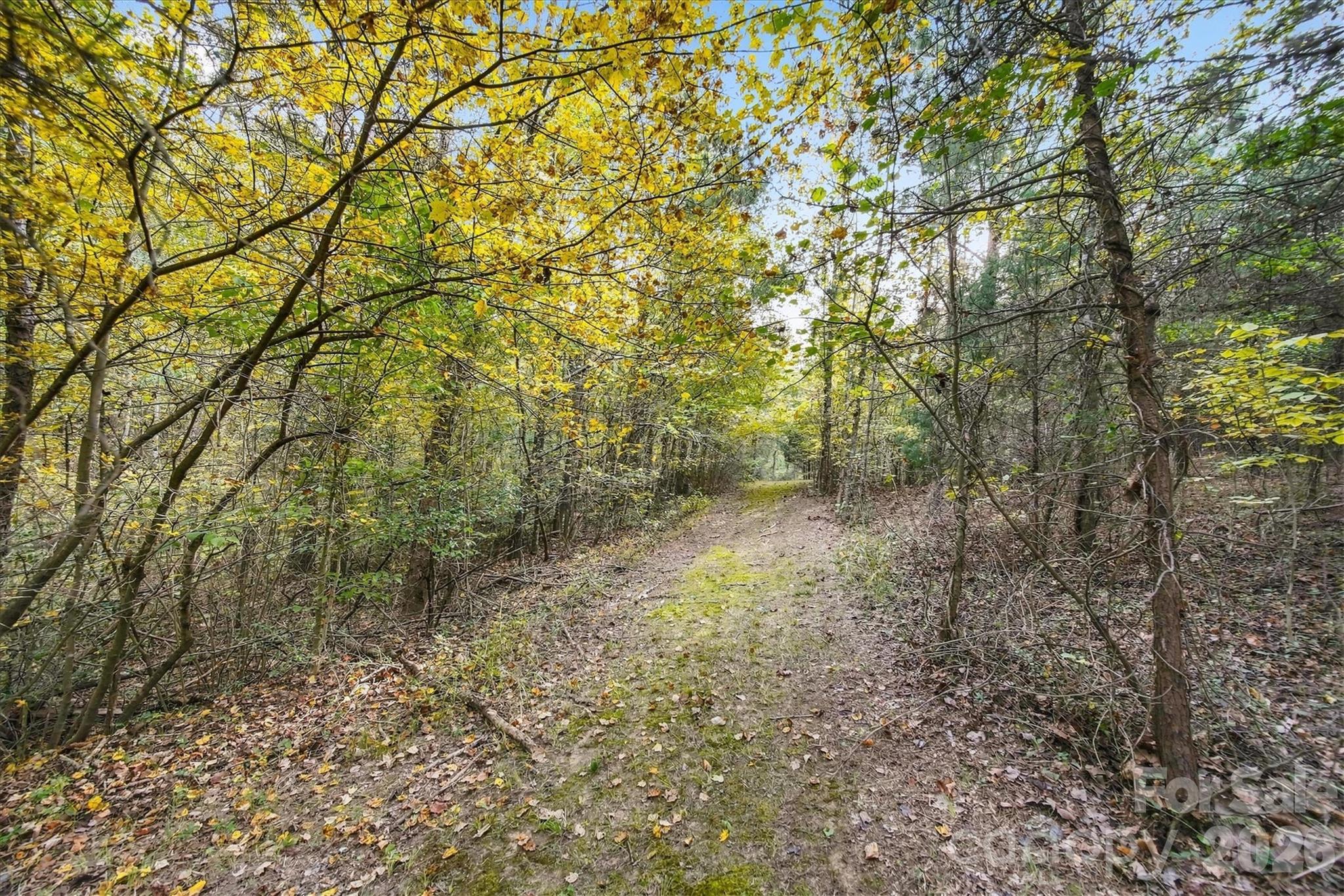 Acreage at 2756 S NC 16 Highway, Newton, photo 22 of 34