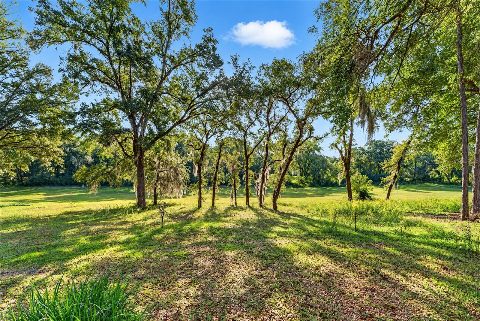 Single Family Residence at 9147 SW 193RD CIR, DUNNELLON, photo 67 of 92