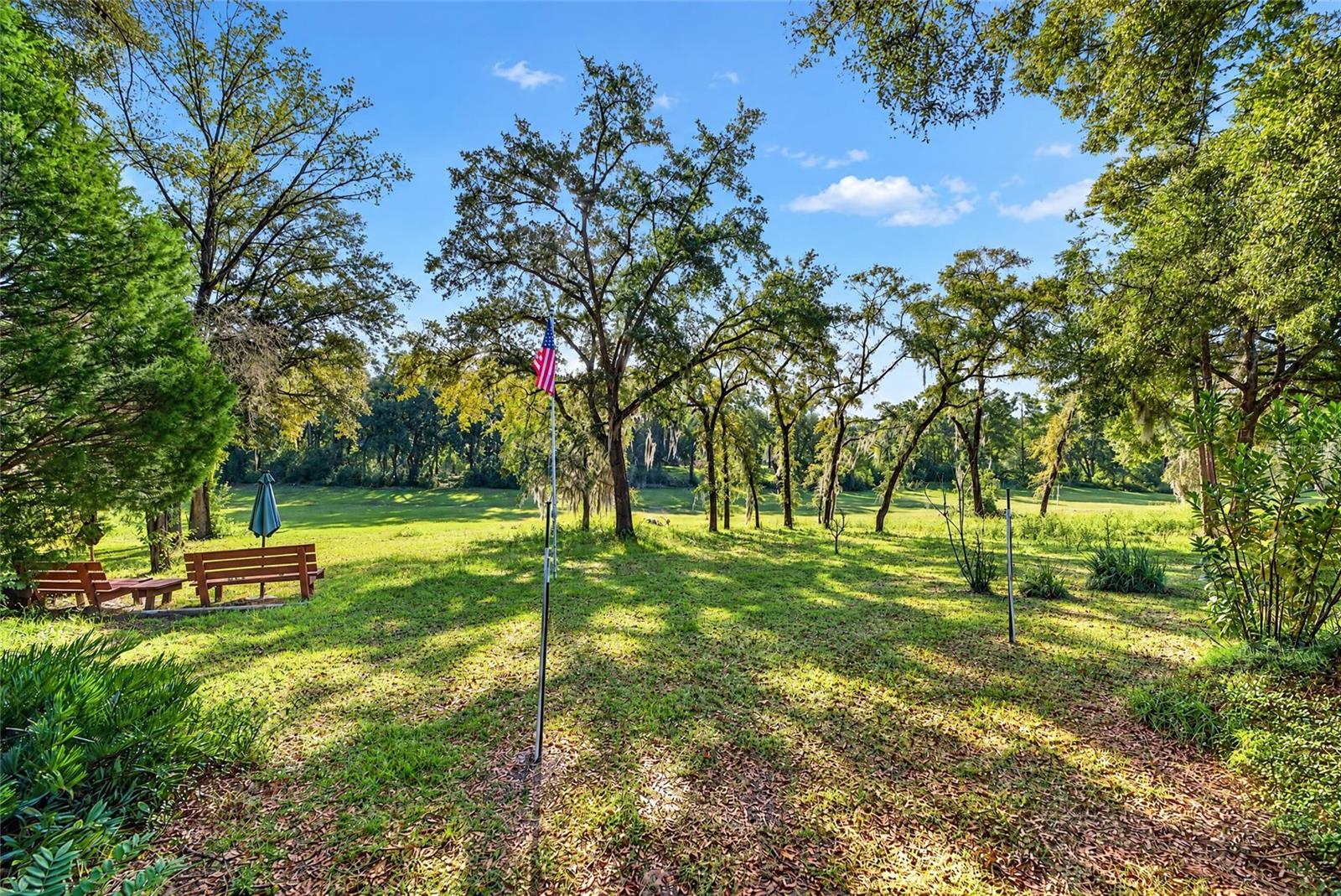 Single Family Residence at 9147 SW 193RD CIR, DUNNELLON, photo 71 of 92