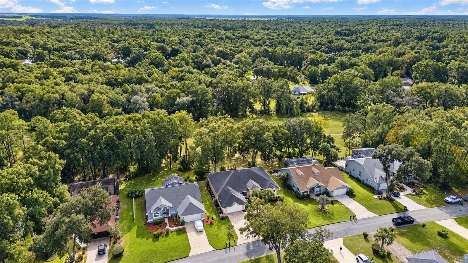 Single Family Residence at 9147 SW 193RD CIR, DUNNELLON, photo 75 of 92
