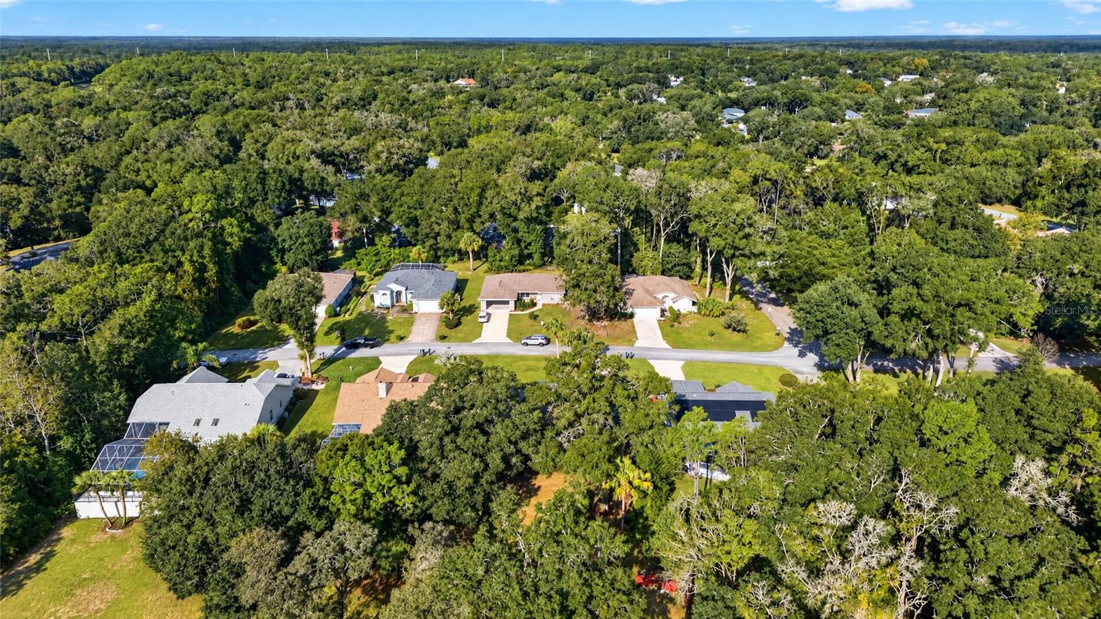 Single Family Residence at 9147 SW 193RD CIR, DUNNELLON, photo 77 of 92