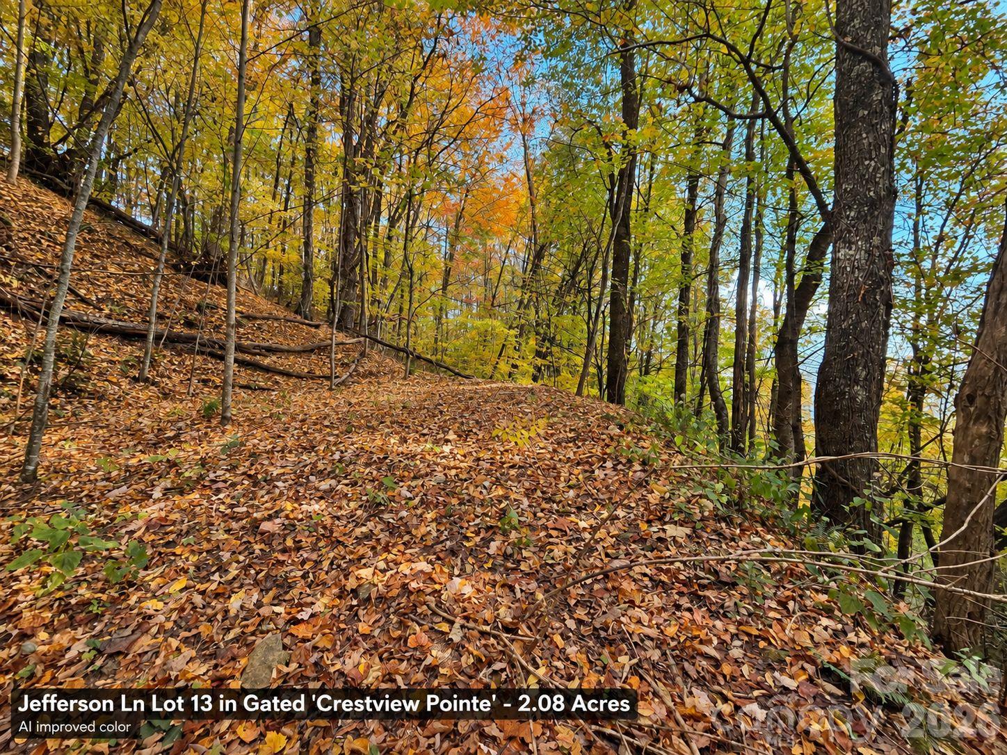 Lot at 125 Jefferson Lane, Waynesville, photo 3 of 23