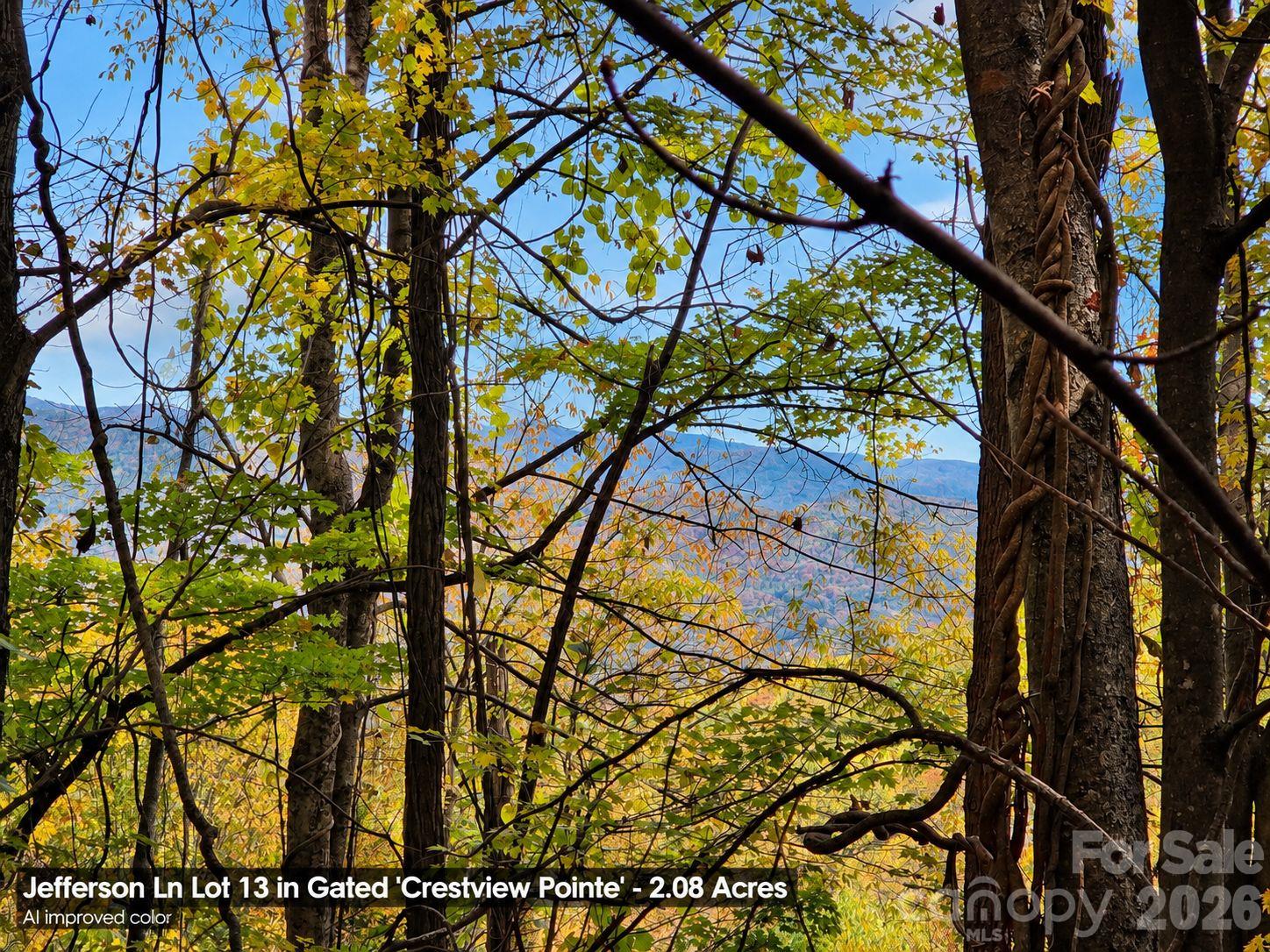 Lot at 125 Jefferson Lane, Waynesville, photo 6 of 23