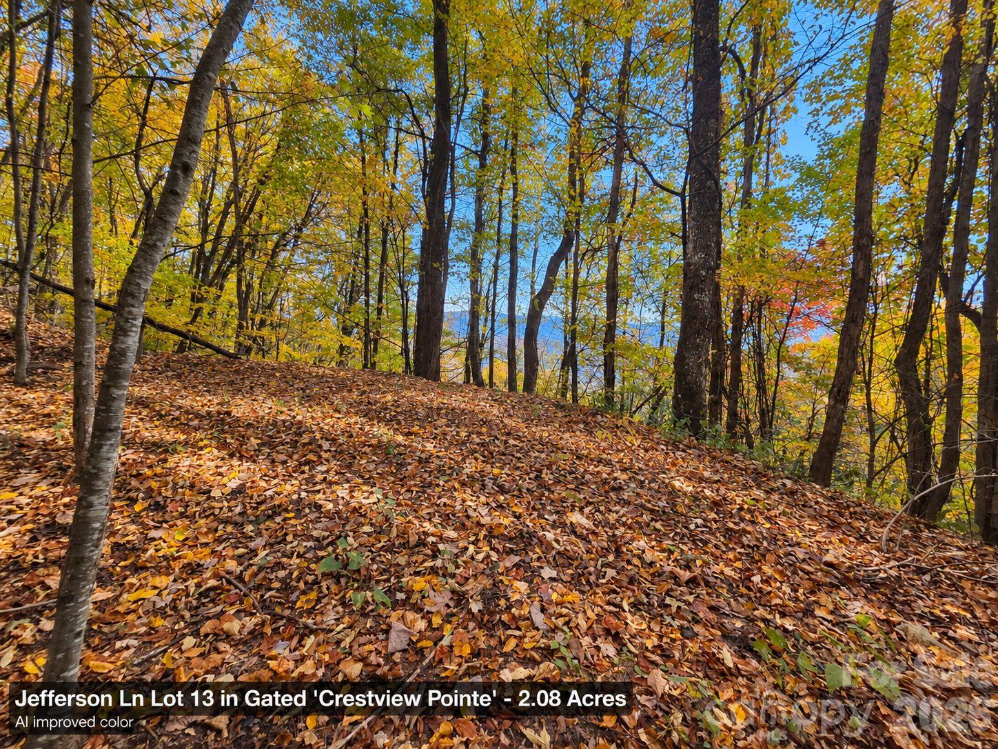 Lot at 125 Jefferson Lane, Waynesville, photo 7 of 23