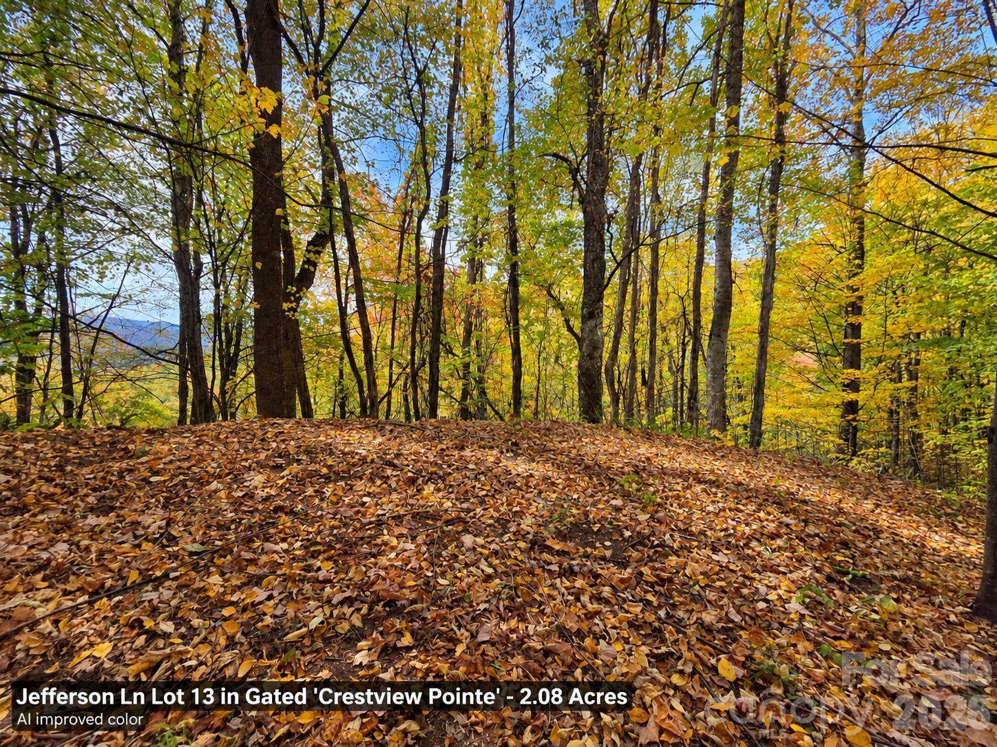 Lot at 125 Jefferson Lane, Waynesville, photo 8 of 23