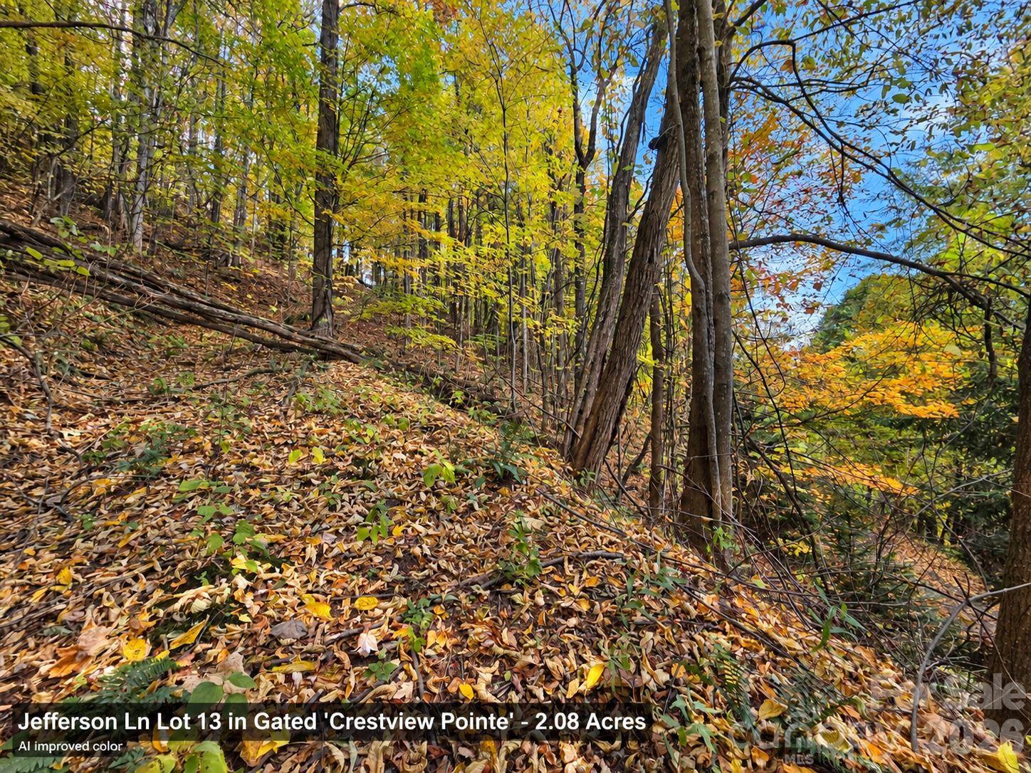 Lot at 125 Jefferson Lane, Waynesville, photo 9 of 23