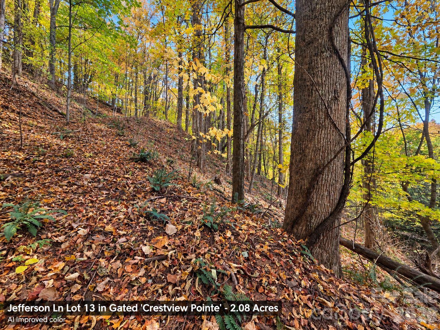 Lot at 125 Jefferson Lane, Waynesville, photo 12 of 23