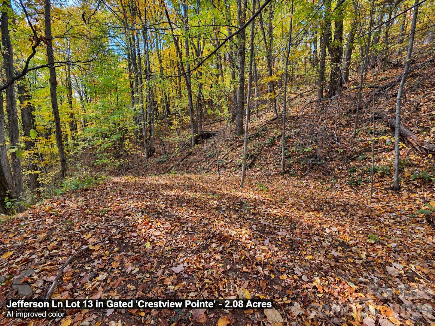 Lot at 125 Jefferson Lane, Waynesville, photo 13 of 23