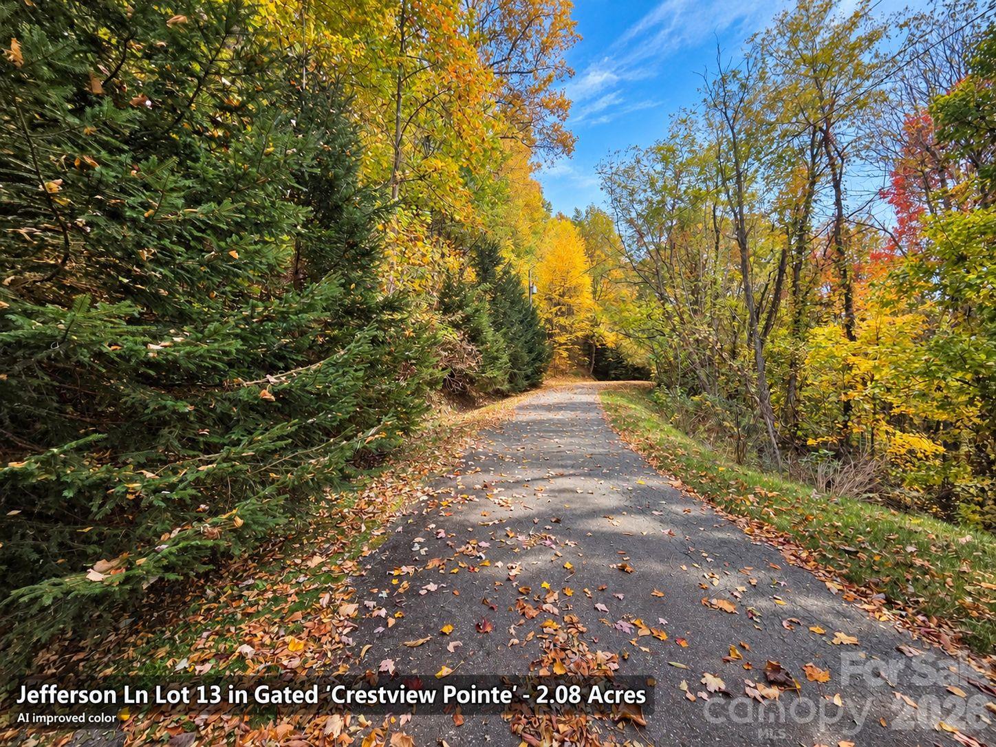Lot at 125 Jefferson Lane, Waynesville, photo 15 of 23