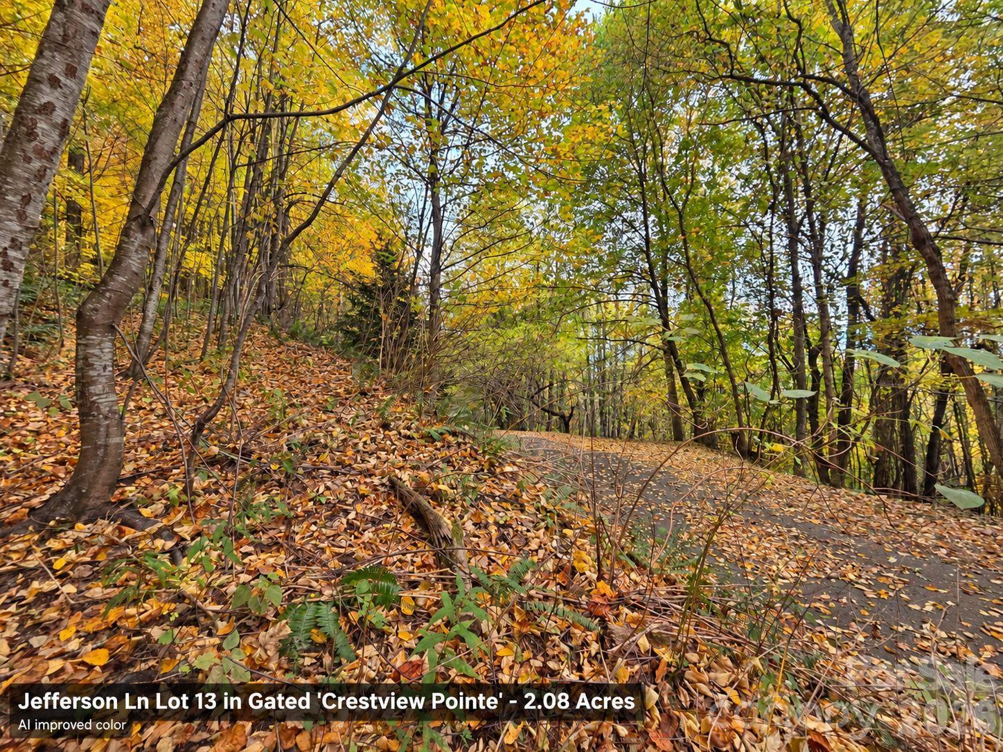Lot at 125 Jefferson Lane, Waynesville, photo 16 of 23