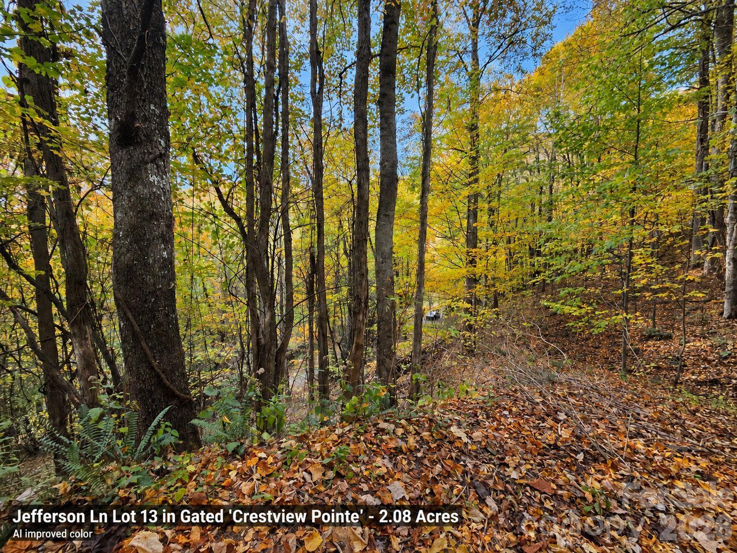 Lot at 125 Jefferson Lane, Waynesville, photo 17 of 23