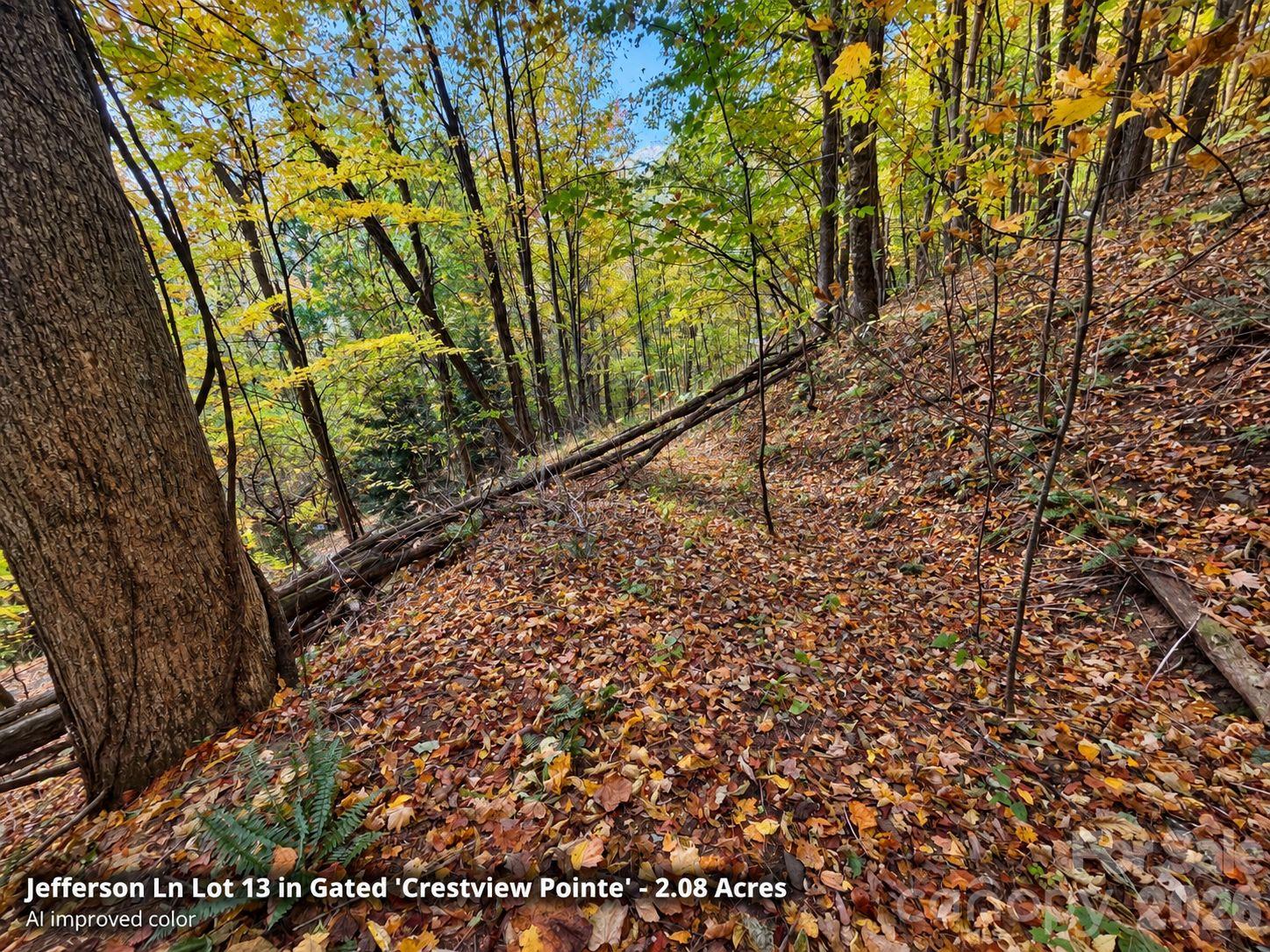 Lot at 125 Jefferson Lane, Waynesville, photo 18 of 23