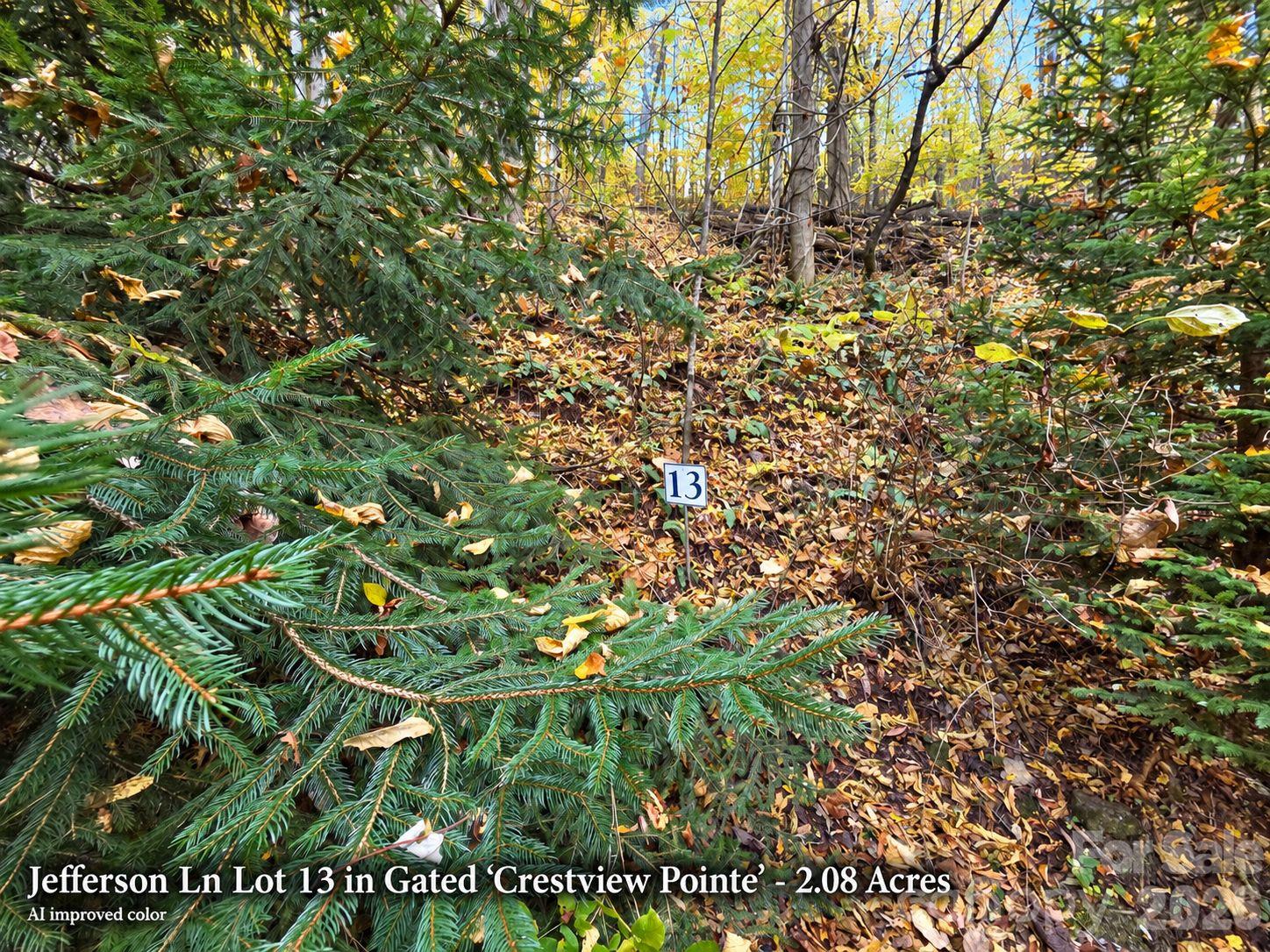 Lot at 125 Jefferson Lane, Waynesville, photo 19 of 23