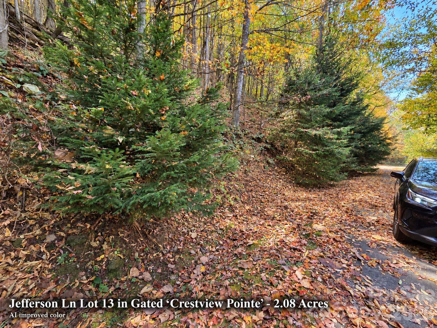 Lot at 125 Jefferson Lane, Waynesville, photo 20 of 23