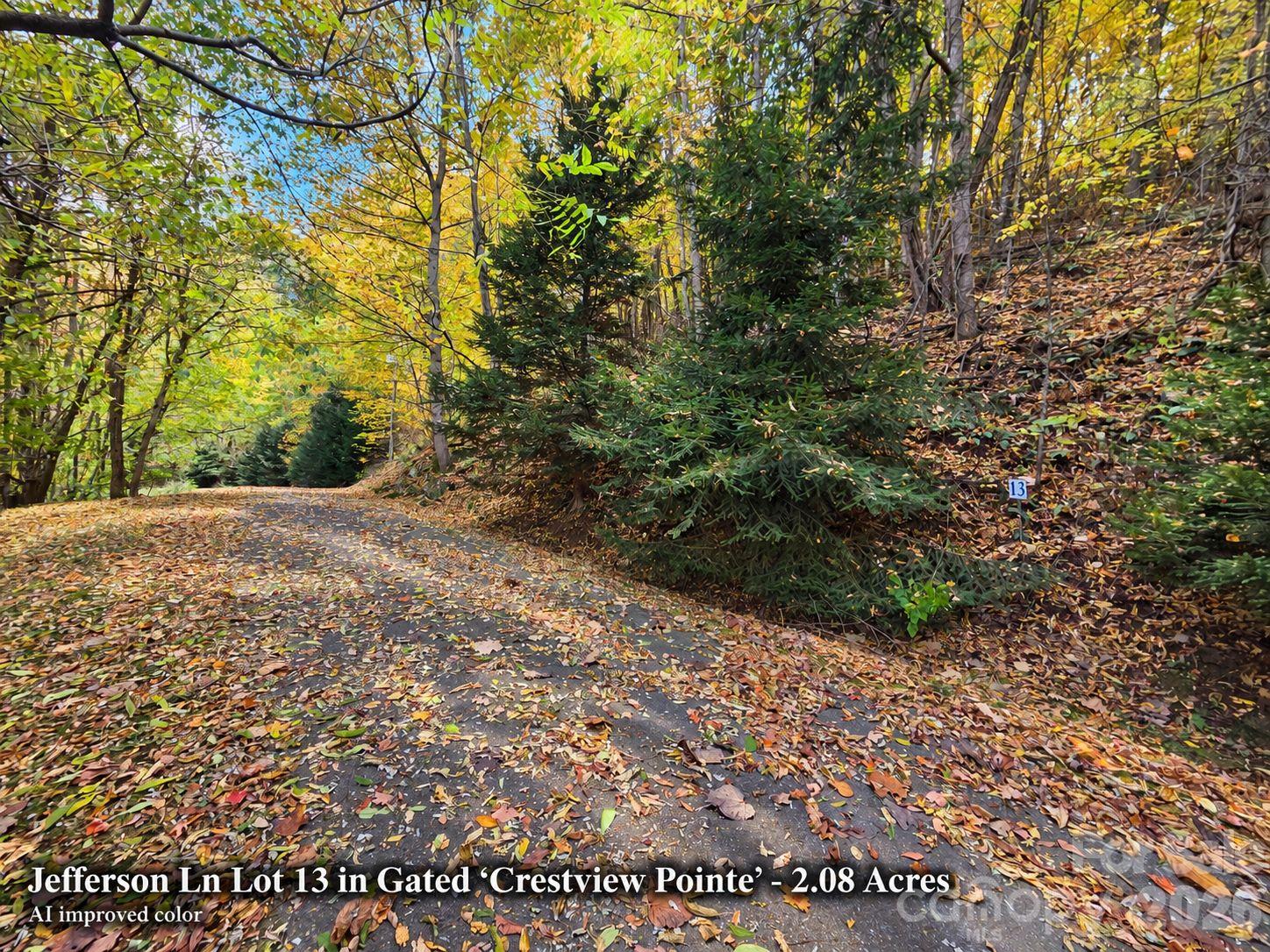 Lot at 125 Jefferson Lane, Waynesville, photo 21 of 23