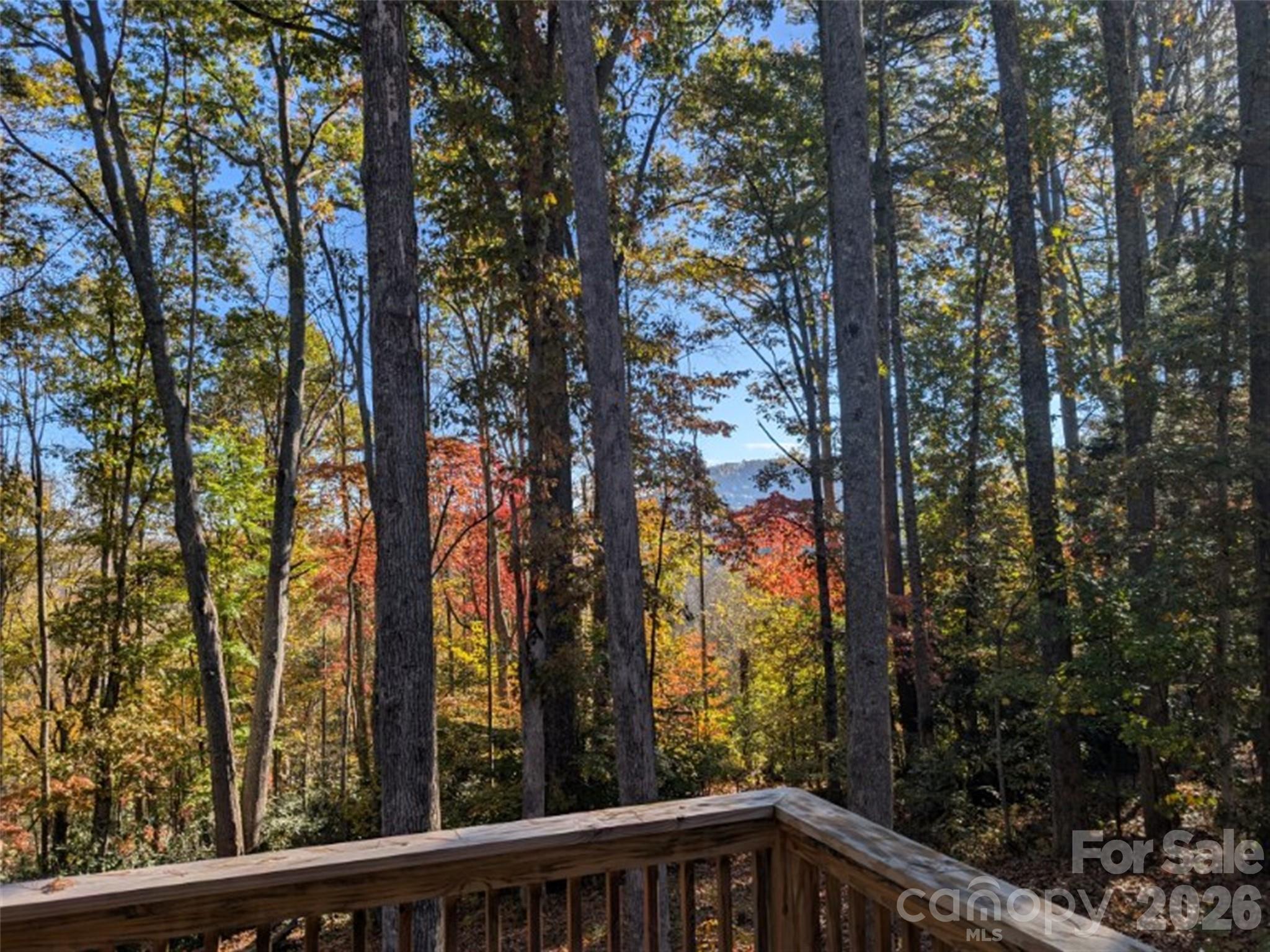 Single Family Residence at 552 Bass Lake Drive, Pisgah Forest, photo 44 of 48