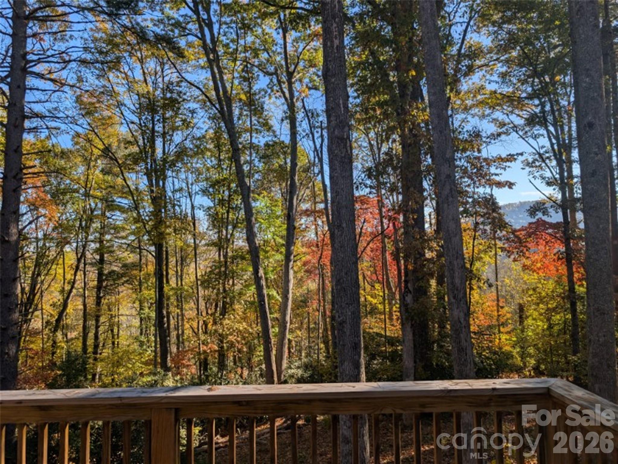 Single Family Residence at 552 Bass Lake Drive, Pisgah Forest, photo 45 of 48