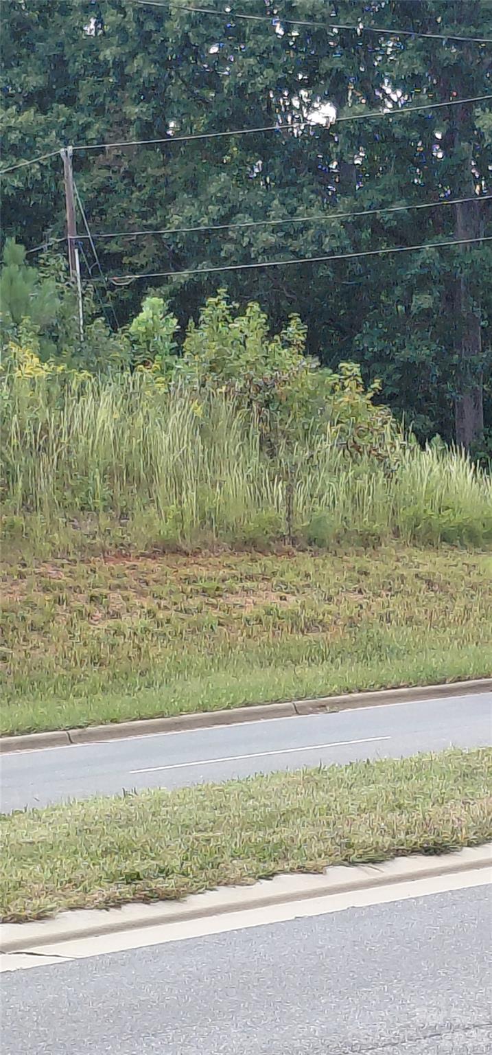 Lot view from street - 2907 S Nc 16 Highway S, Newton