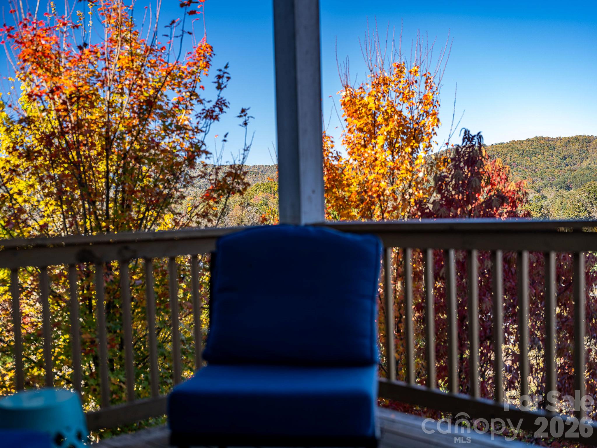 Fall in WNC - 50 Rose Creek Road, Leicester