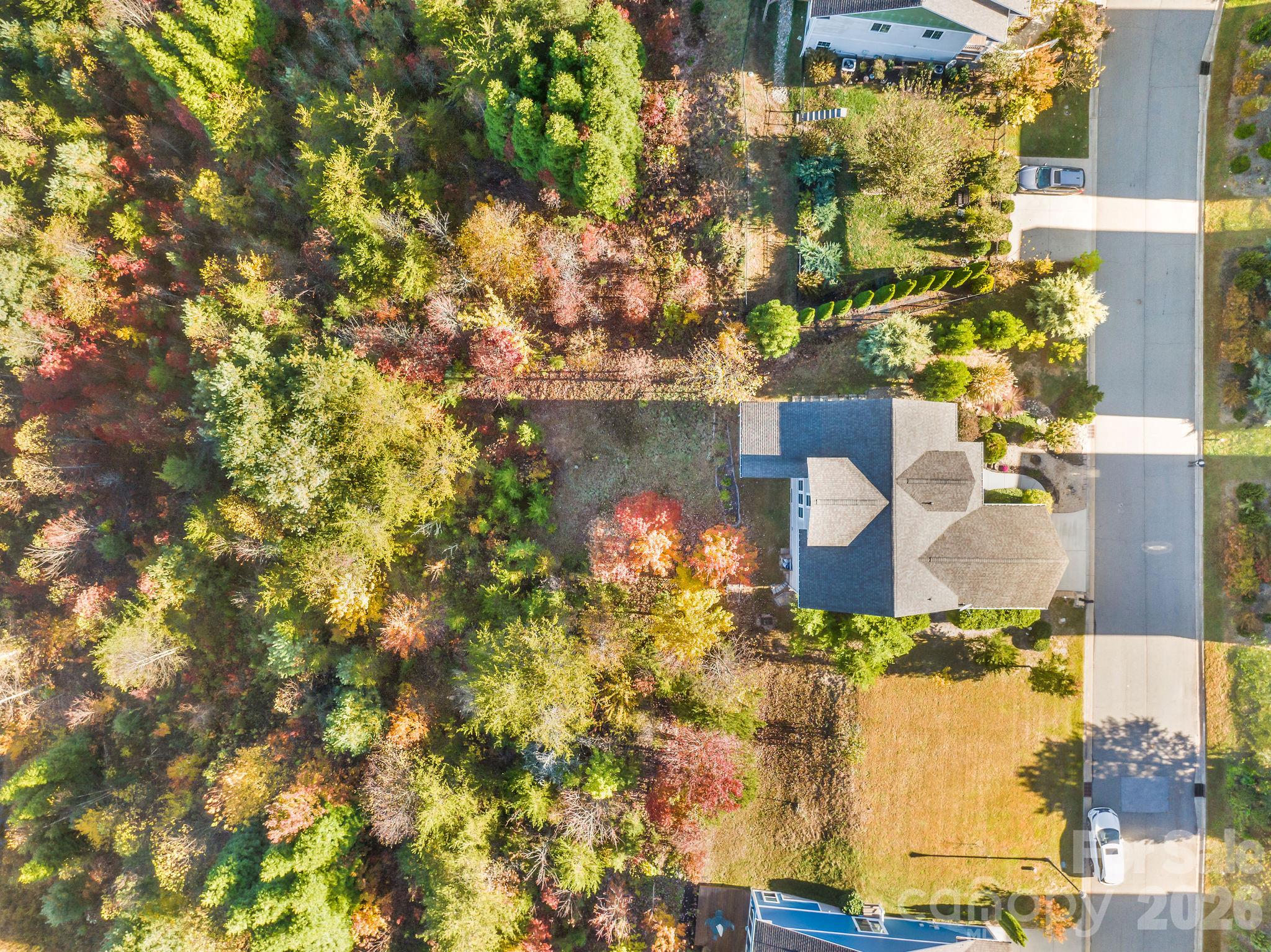 Lovely wooded space behind the home - 50 Rose Creek Road, Leicester